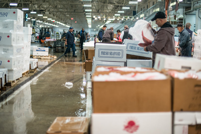 Inside the Fulton Fish Market