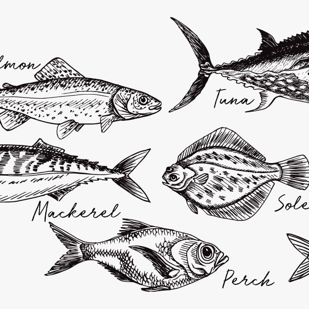 A Guide to Understanding Fish Names