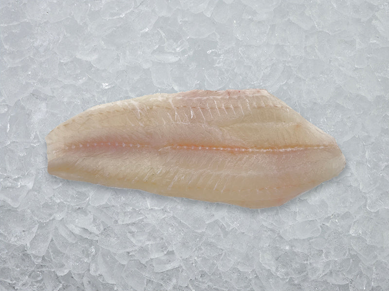 Dover Sole Fillet on ice