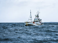 Boat in the ocean fishing for Atlantic Cod