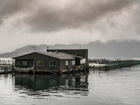 King Salmon Boat Docks