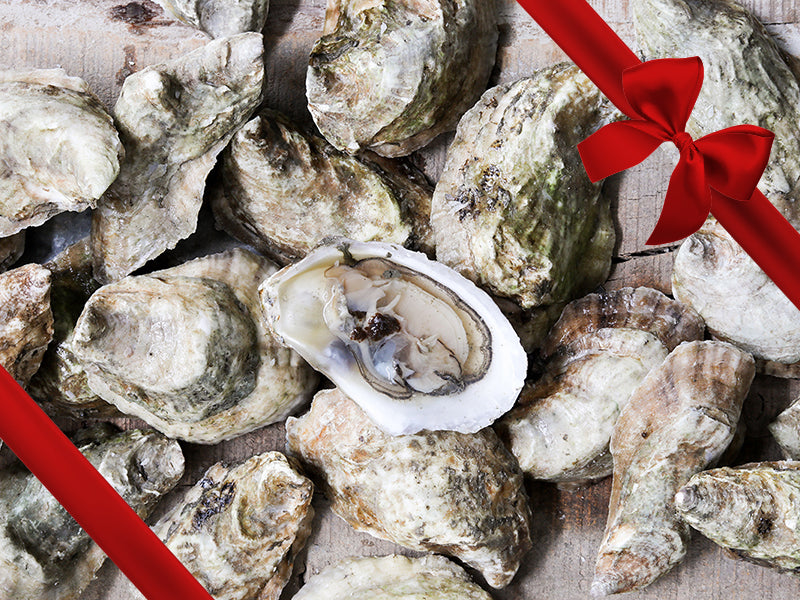 Shucked Pemaquid Oysters on Wood Tabnle with Gift Bow Graphic