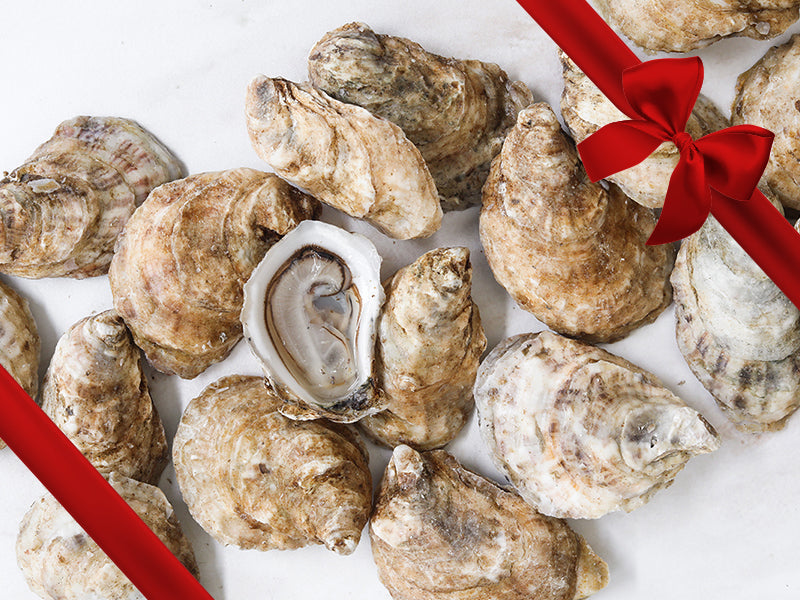 Shucked Pink Moon Oysters on Marble Table with Gift Bow Graphic