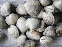 Close Up of Countneck Clams in a Pile on Gray Surface