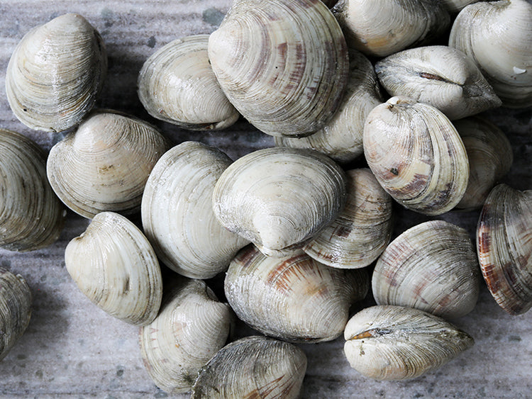Close Up of Countneck Clams in a Pile on Gray Surface
