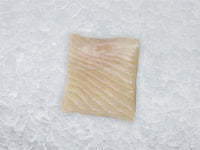 Atlantic Halibut Portion on Ice