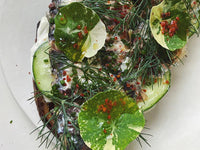 Fishwife Sardines with Hot Peppers On Toast with Cucumbers and Dill
