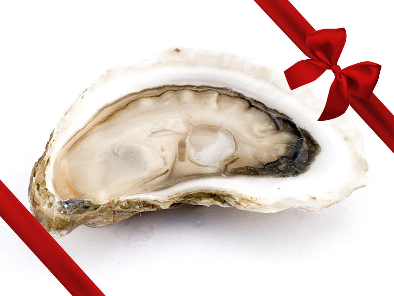 Close Up of Shucked Large Goose Flat Oyster with Gift Bow Graphic on Top Right