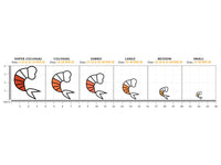 Shrimp Size Chart - Head Off