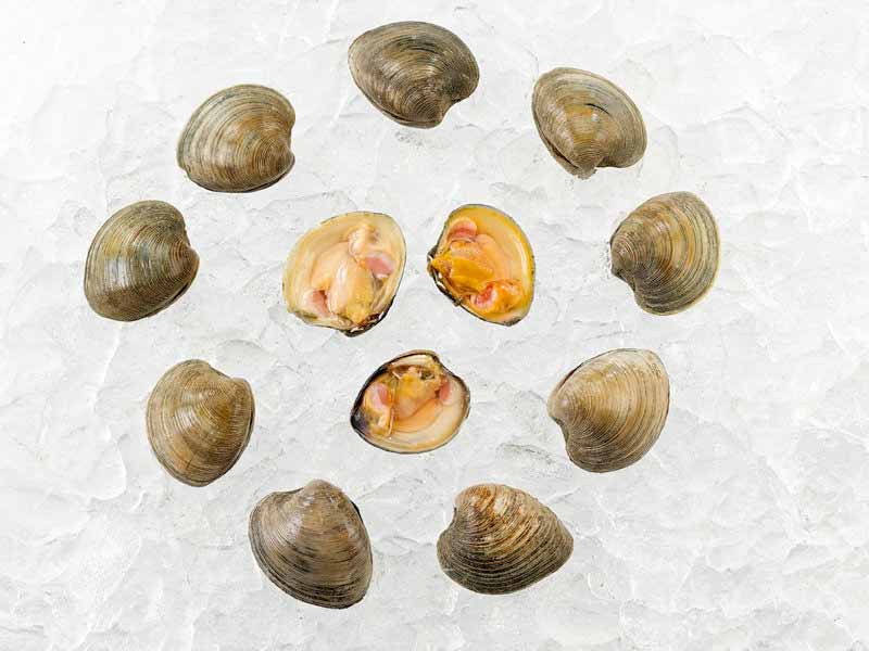 Dozen Countneck Clams on Ice
