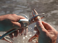 Using Toadfish Crab Cutter