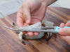 Using Toadfish Frogmore Shrimp Cleaner to Clean Shrimp