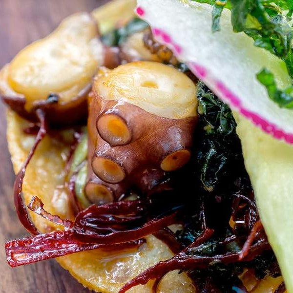 Grilled Octopus Tacos Recipe