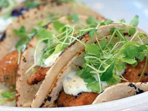 Salmon Tacos Recipe