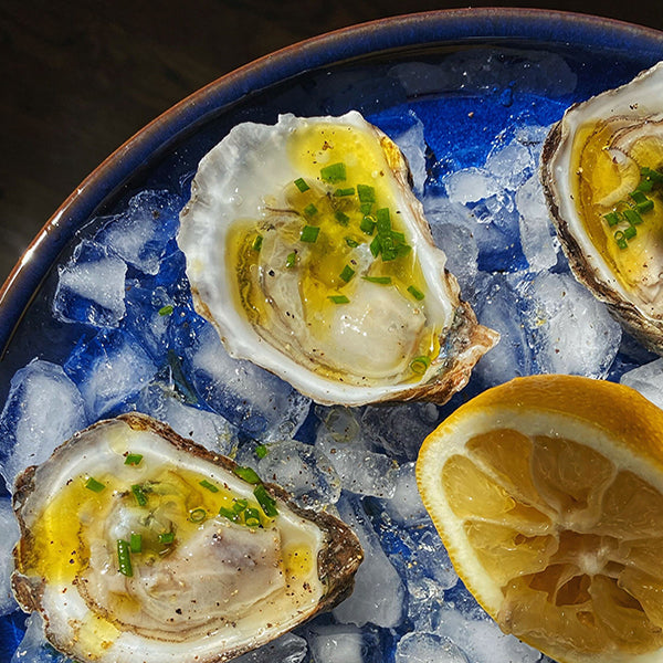 Dirty Martini Oyster Recipe