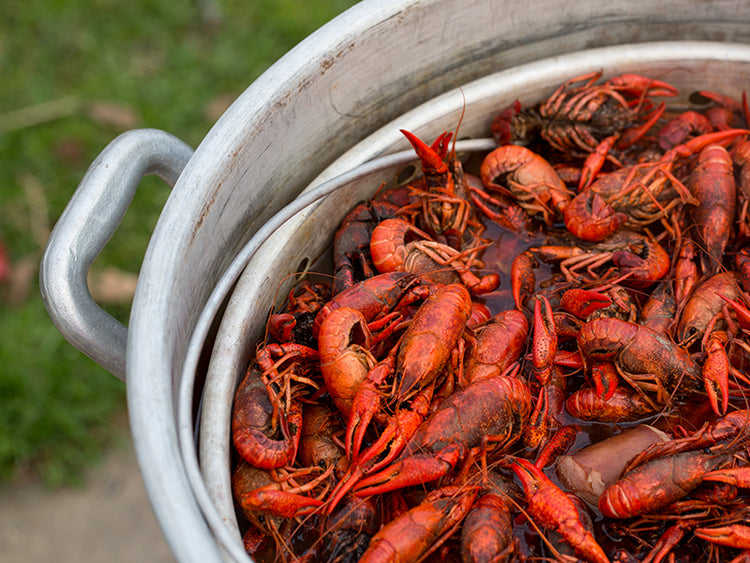 Basic Crawfish Boil