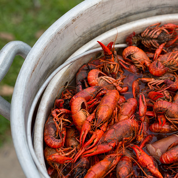 Basic Crawfish Boil