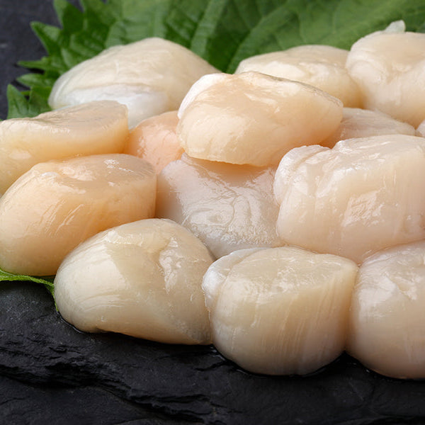 Colossal Dry Sea Scallops - Scallop Size Guide