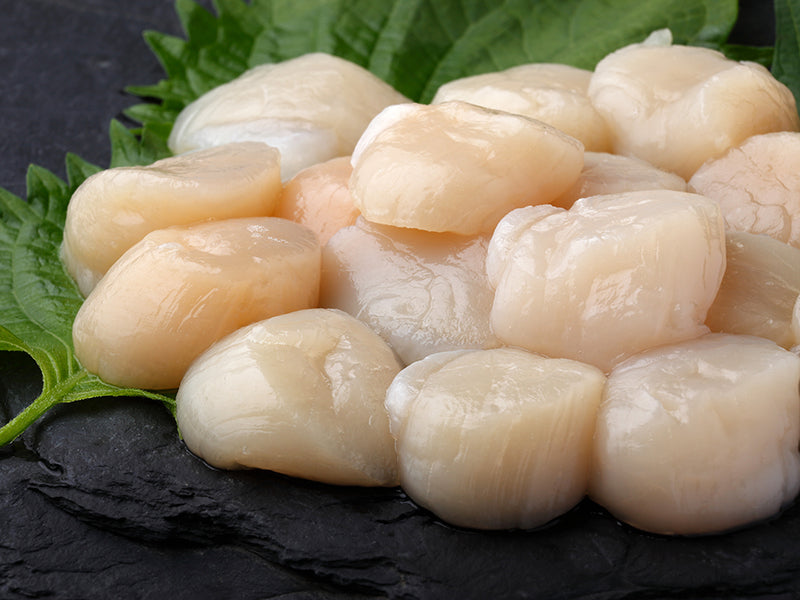 Colossal Dry Sea Scallops - Scallop Size Guide