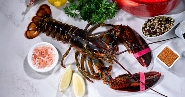 Whole Lobster on Marble Surface with Herbs, Spices, and Lemon Wedges