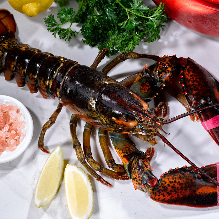 Whole Lobster on Marble Surface with Herbs, Spices, and Lemon Wedges