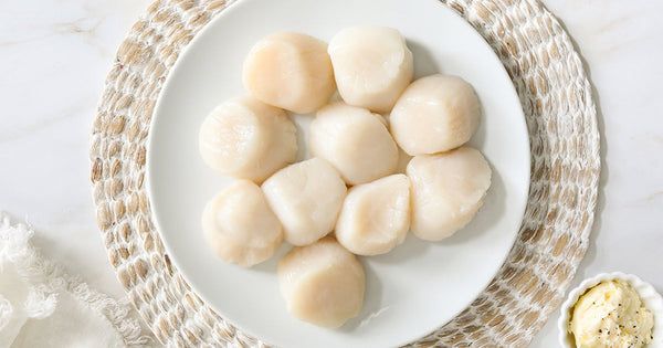 Dry Sea Scallops on a White Plate