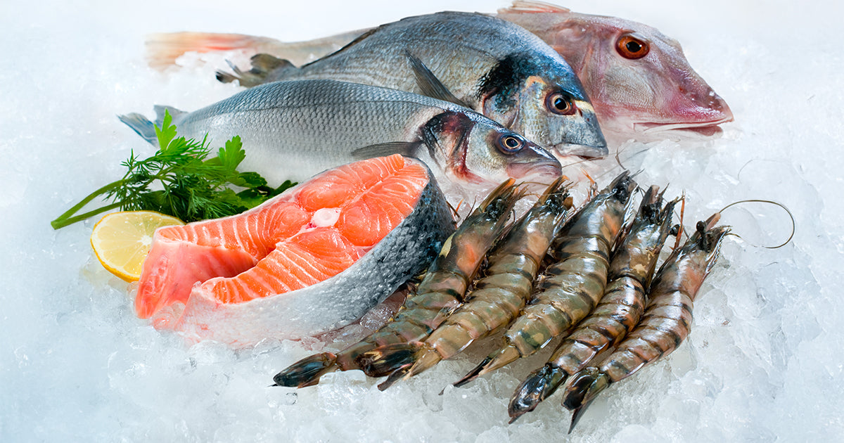 Assortment of Whole Fish, Salmon Steak, and Shrimp on Ice