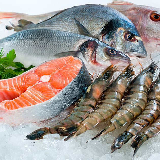 Assortment of Whole Fish, Salmon Steak, and Shrimp on Ice