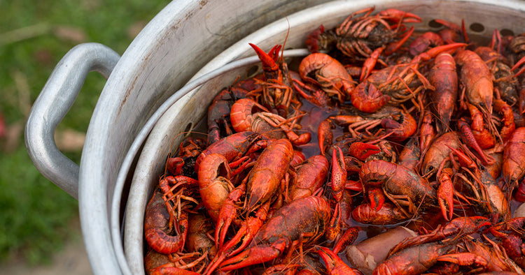Basic Crawfish Boil