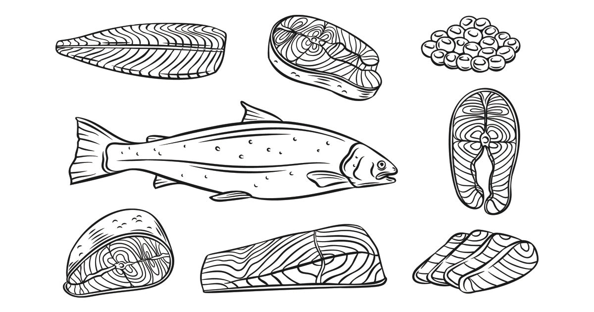 Line Drawing of Different Cuts of Fish