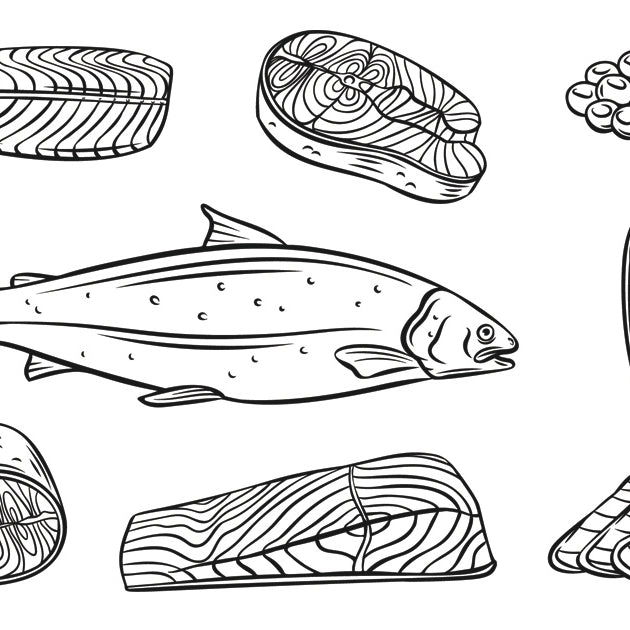 Line Drawing of Different Cuts of Fish