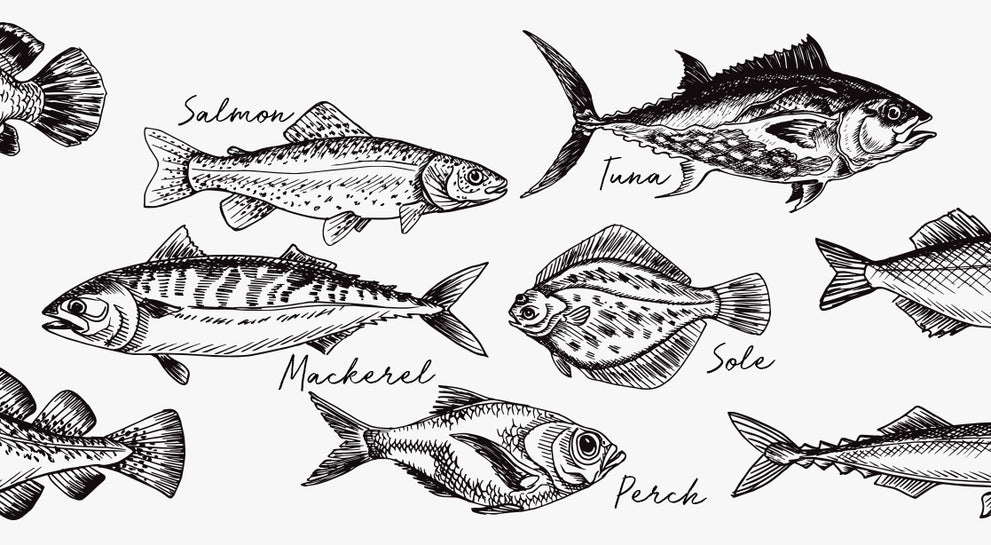 A Guide to Understanding Fish Names - Fulton Fish Market