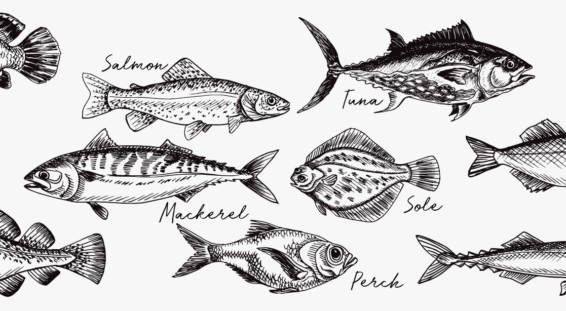A Guide to Understanding Fish Names