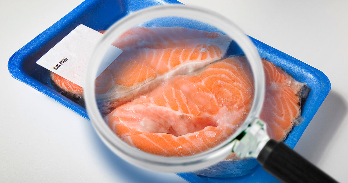 Magnifying Glass on Package of Salmon Steaks