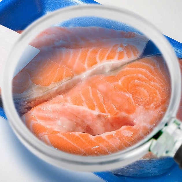 Magnifying Glass on Package of Salmon Steaks