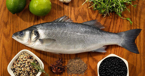 Your Essential Guide to Bass | Different Types of Bass Fish