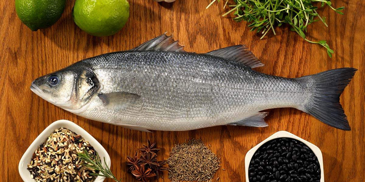 https://fultonfishmarket.com/cdn/shop/articles/essential-guide-to-bass_1200x600_crop_center.jpg?v=1647288649