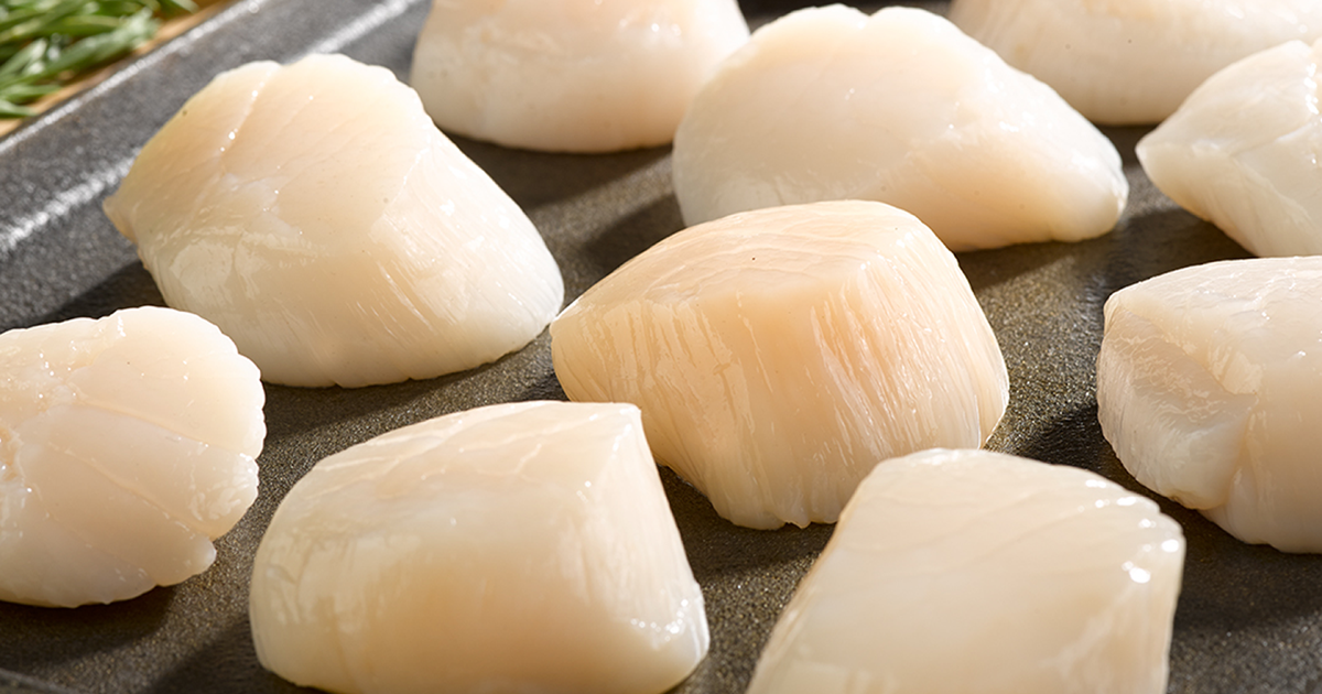 Close Up of Dry Sea Scallops