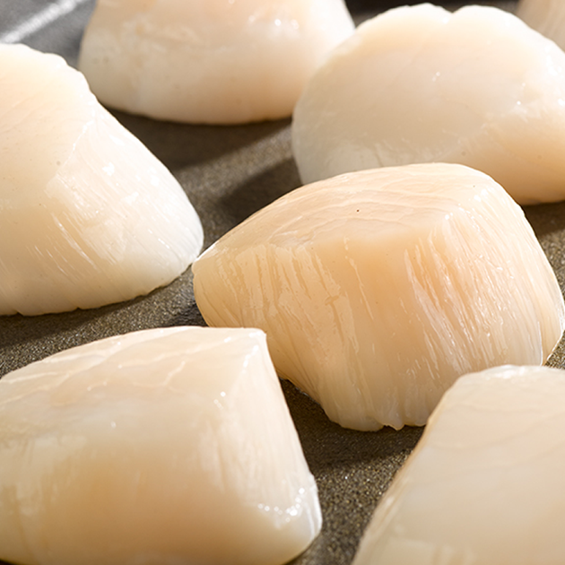 Close Up of Dry Sea Scallops