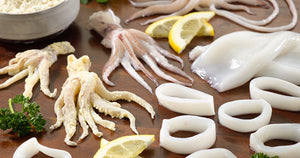 Your Essential Guide to Squid