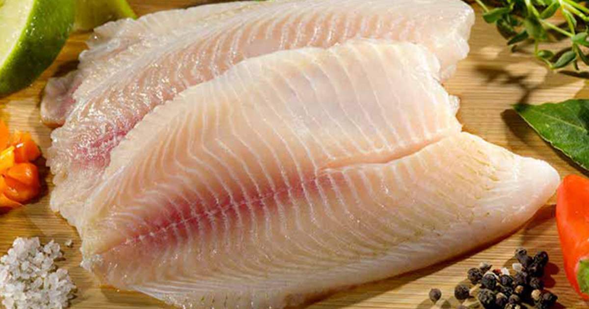 Facts About Tilapia