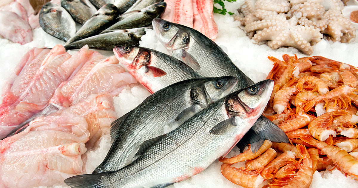 Fish Assortment on Ice