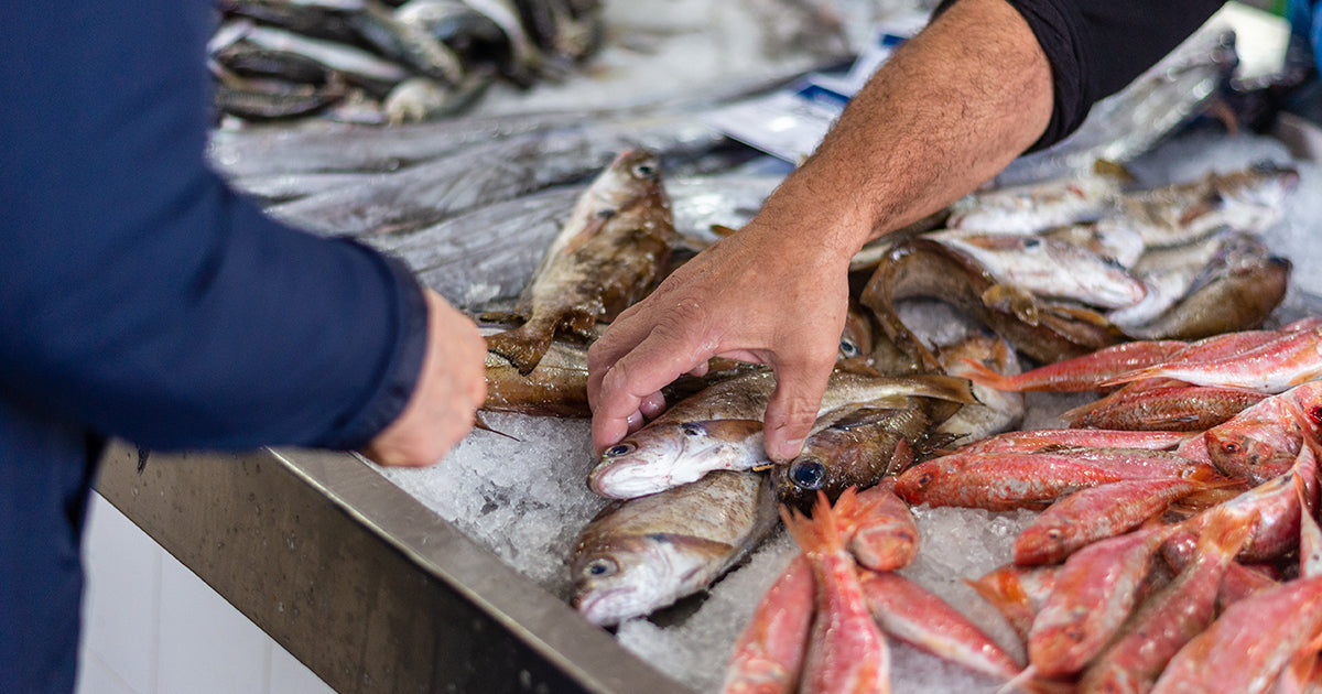 Different types of fish on ice with one person looking to purchase fish