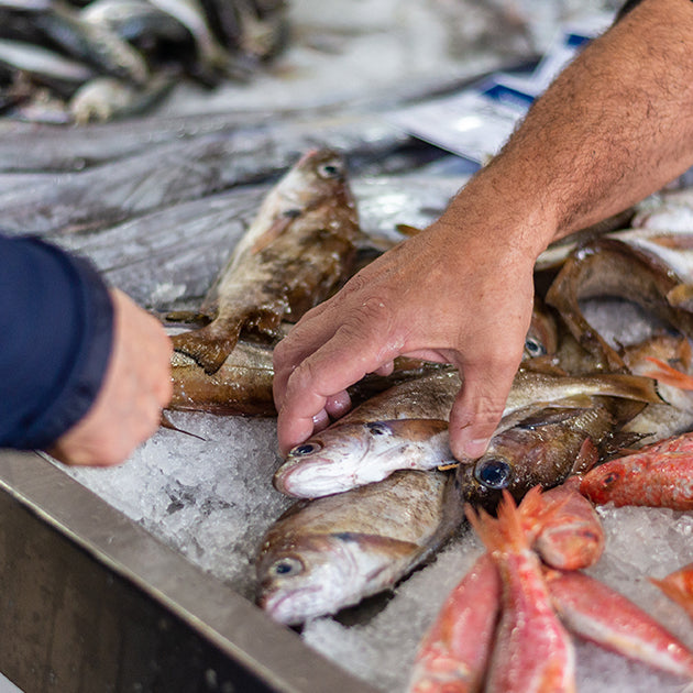 Different types of fish on ice with one person looking to purchase fish