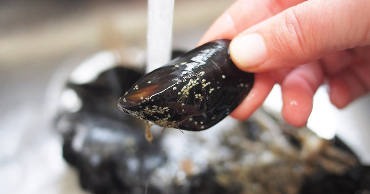 Mussel In Kitchen Sink Being Cleaned
