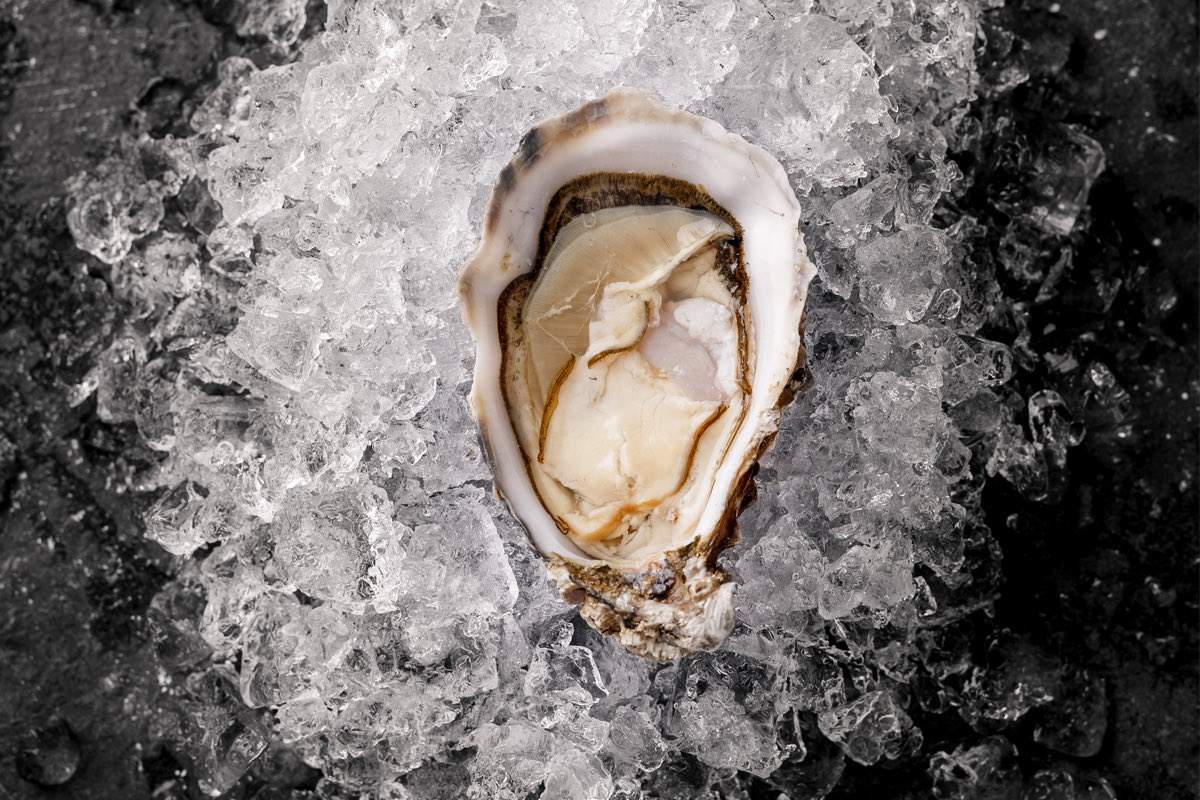 Shucked Oyster on Ice