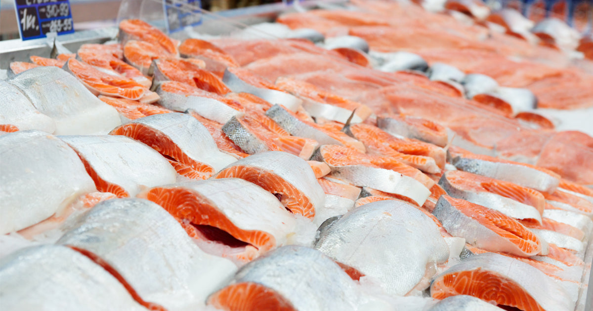 Salmon Portions on Display in Store 