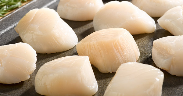 Close Up of Dry Sea Scallops on Pan