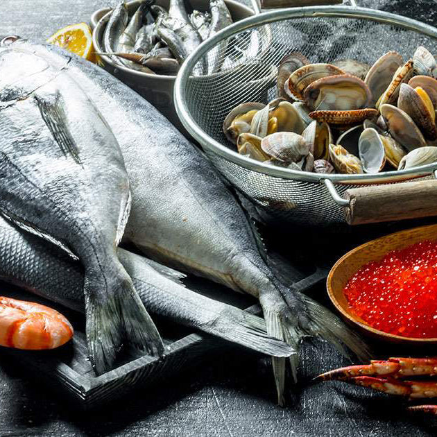 Assortment of Seafood on Dark Surface