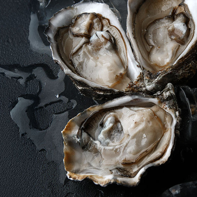 Shucked Oysters on Ice with Lemon